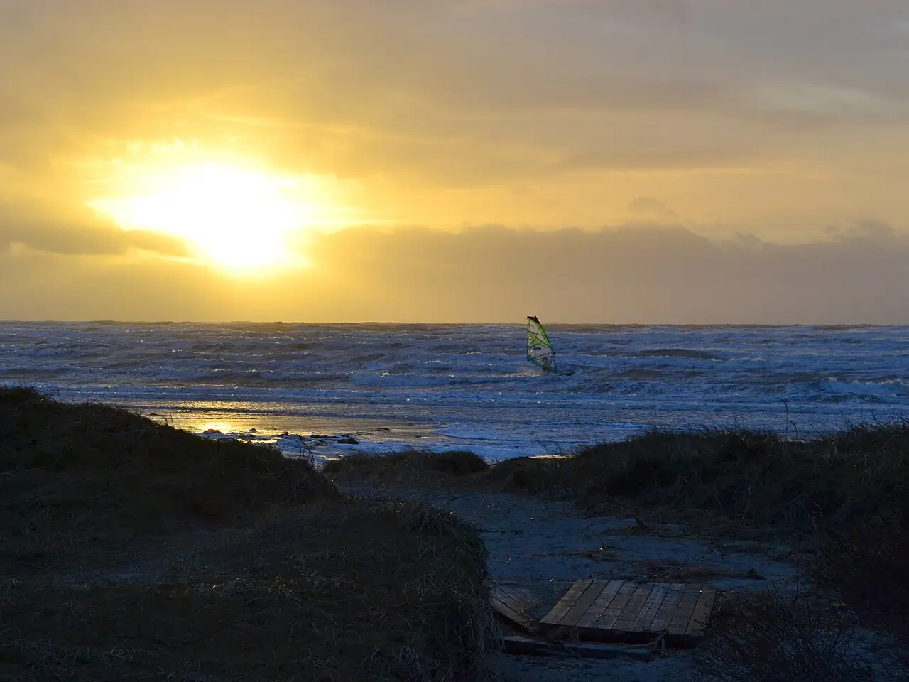 Apelviken
