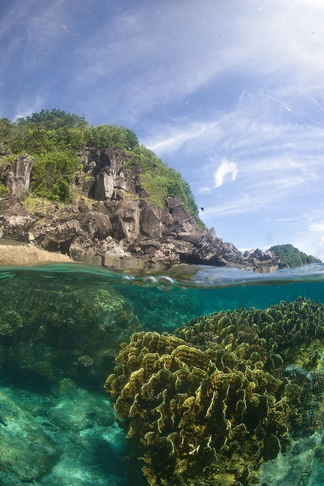 Apo Island