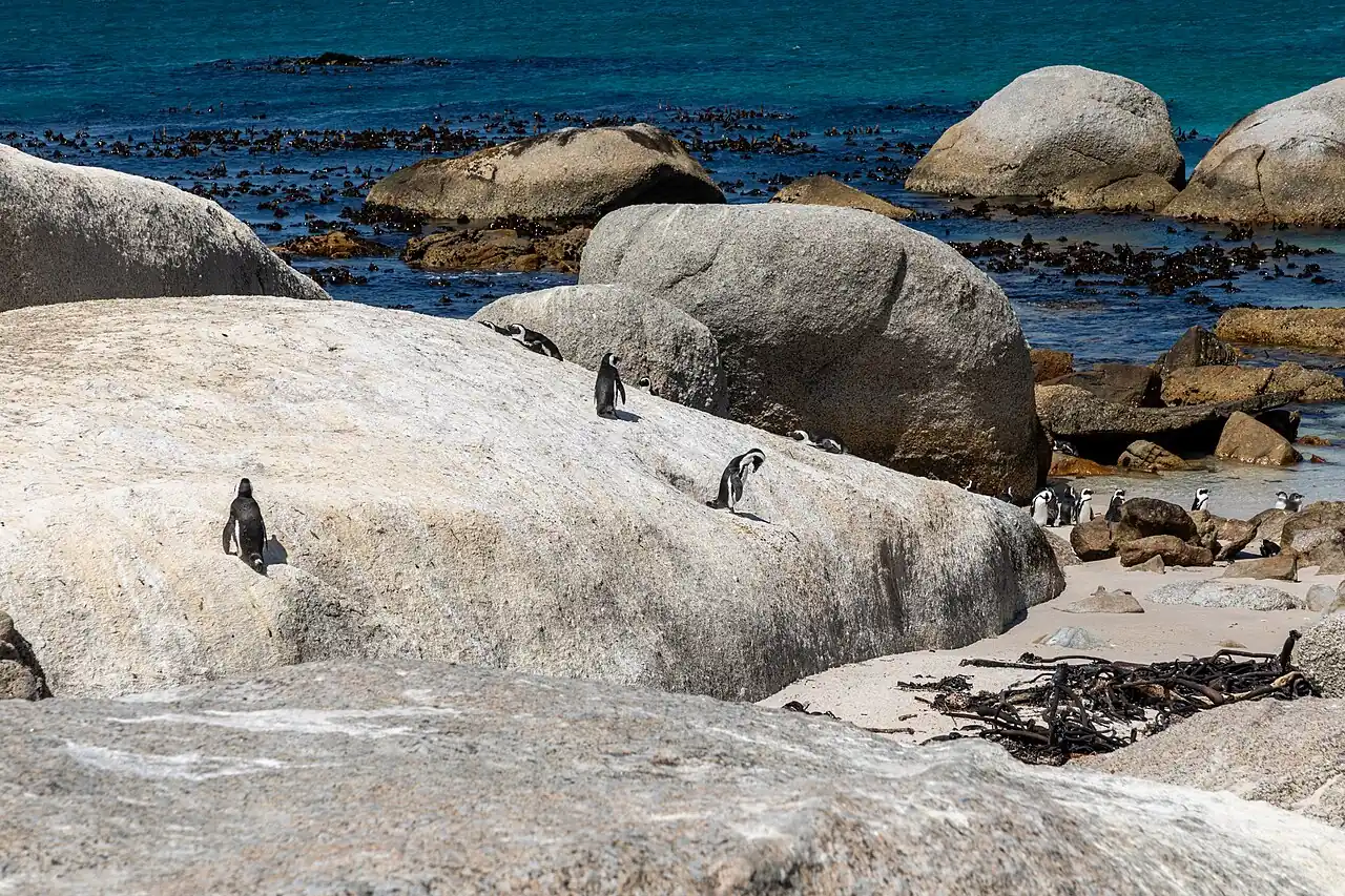 Boulders Beach