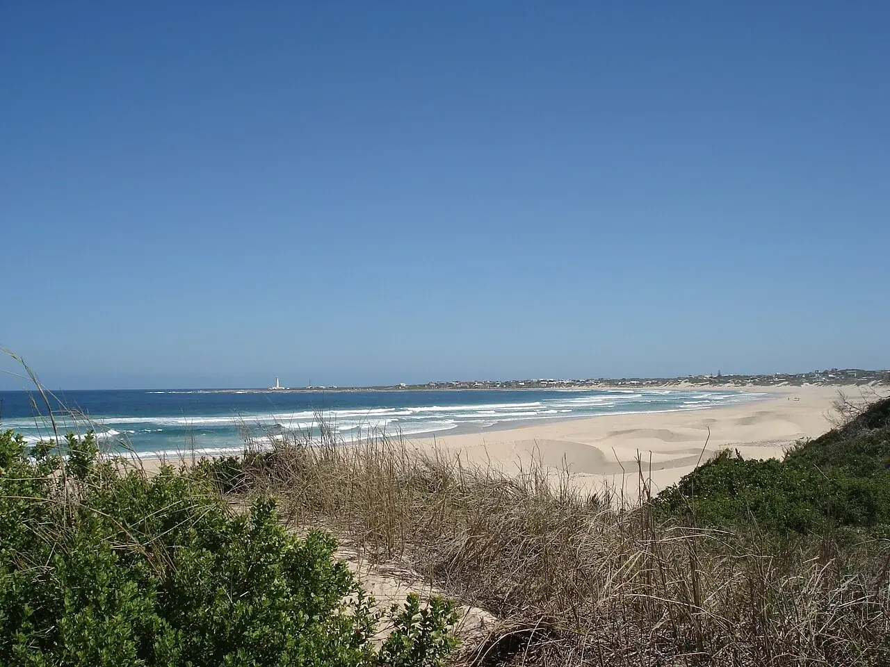 Cape St Francis — Seal Point
