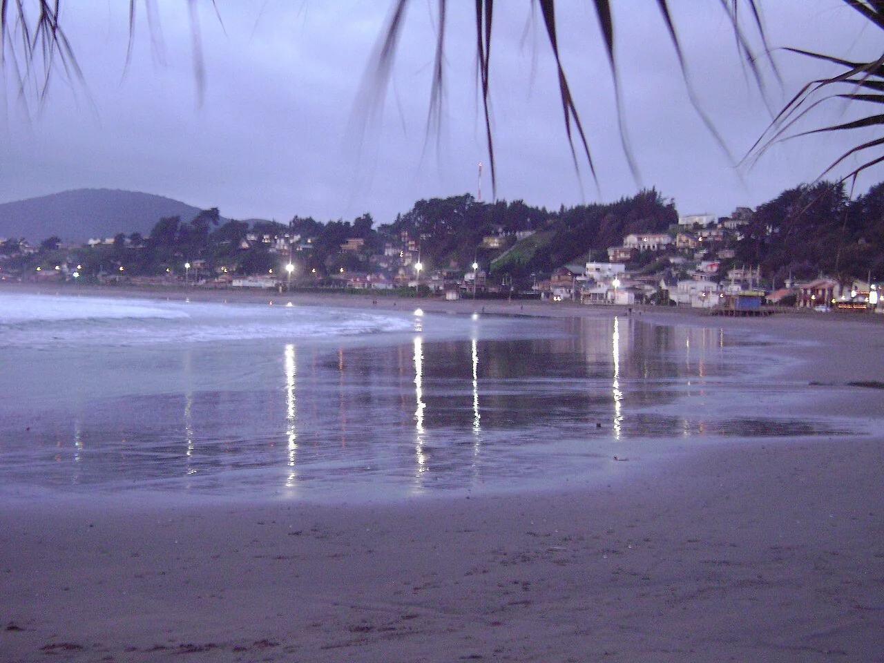 Maitencillo — El Abanico