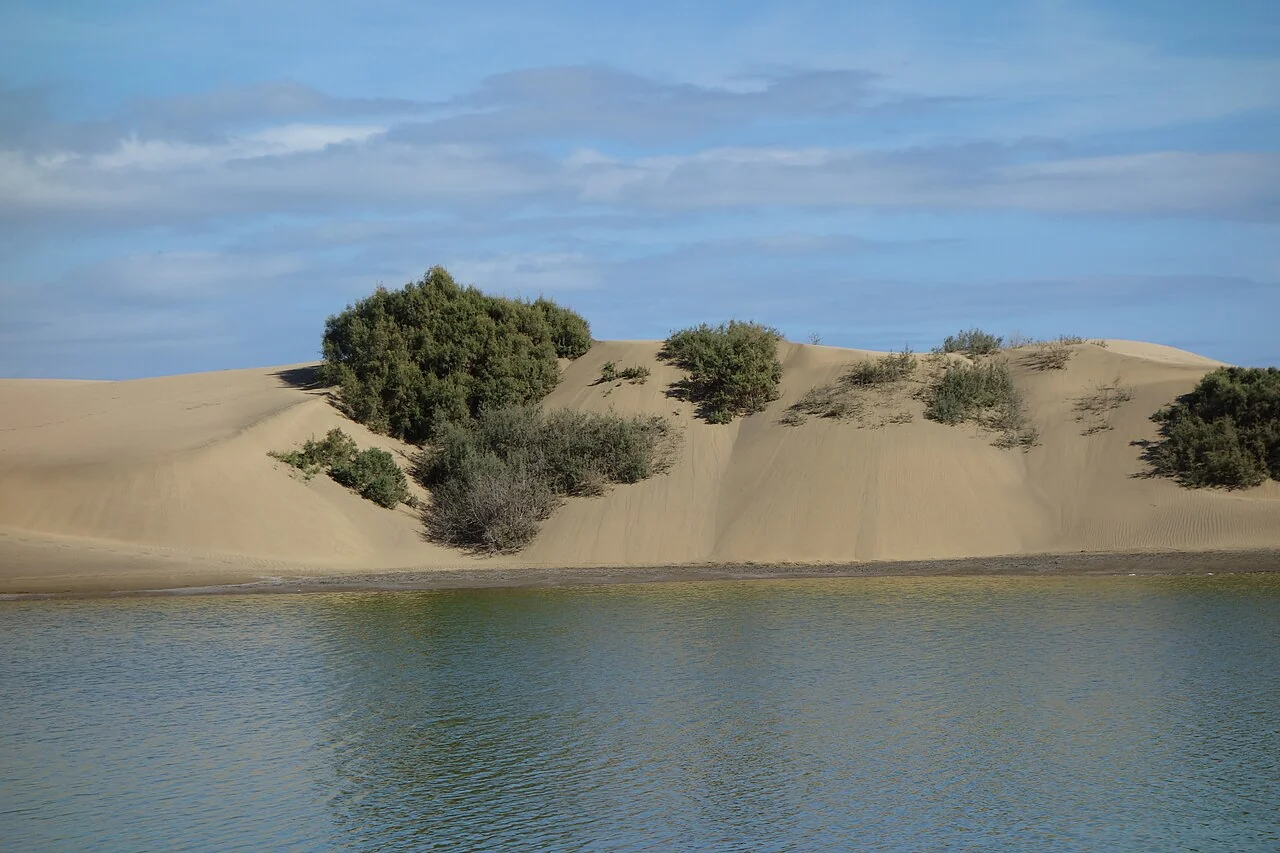 Maspalomas · autre regard