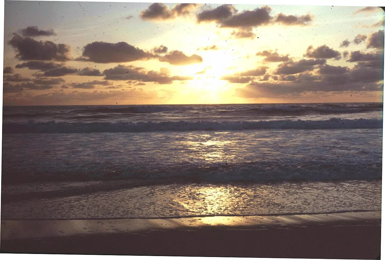 Moliets-Plage