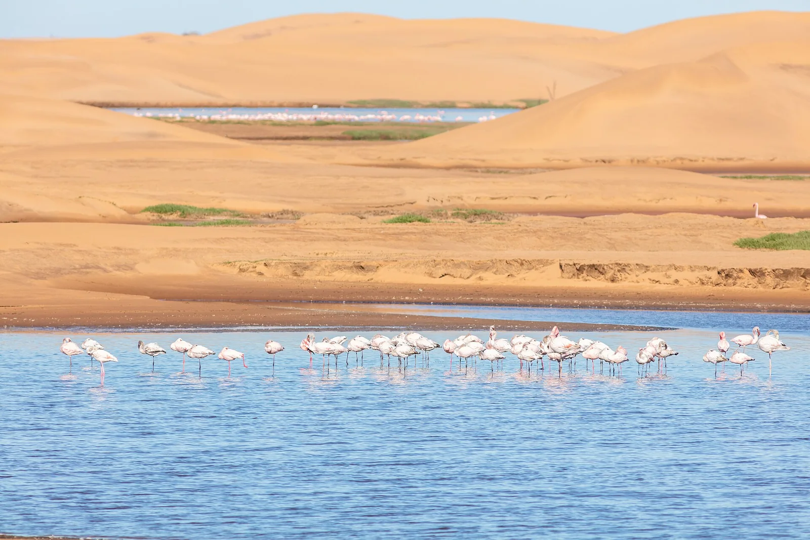 Lagune de Walvis Bay